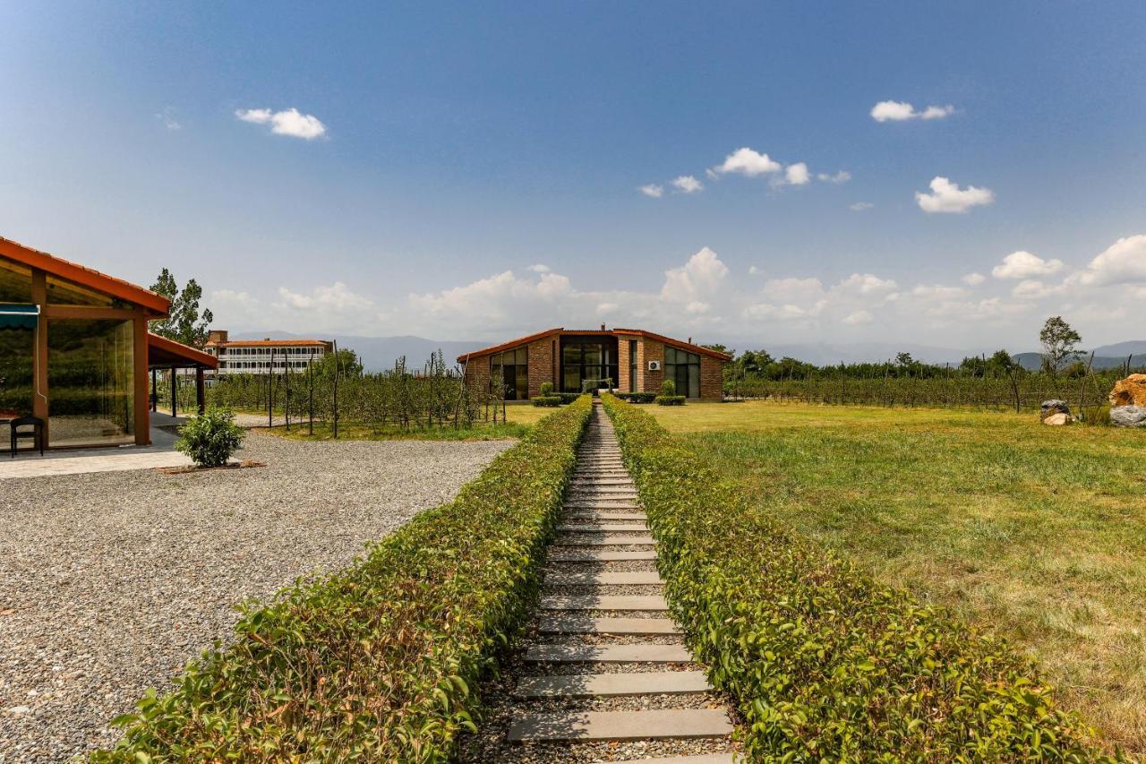 Chateau Artwine Art'ana Esterno foto