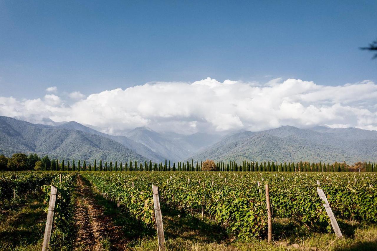 Chateau Artwine Art'ana Esterno foto